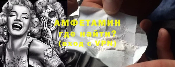 сатива Кулебаки