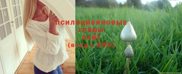 сатива Кулебаки