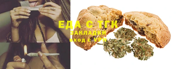 сатива Кулебаки
