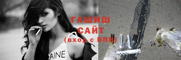 сатива Кулебаки