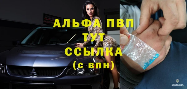 ПСИЛОЦИБИНОВЫЕ ГРИБЫ Кукмор