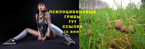 гидропоника Куйбышев