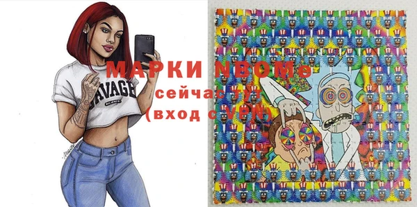 сатива Кулебаки