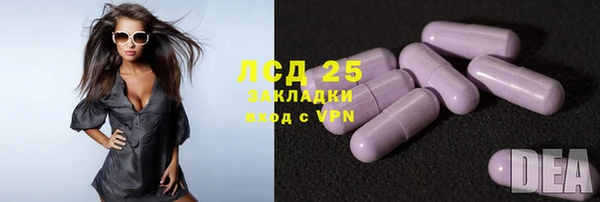 ПСИЛОЦИБИНОВЫЕ ГРИБЫ Кукмор