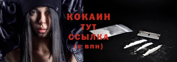 сатива Кулебаки