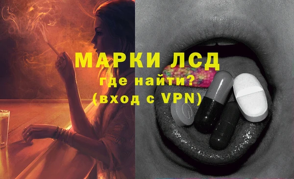 ПСИЛОЦИБИНОВЫЕ ГРИБЫ Кукмор