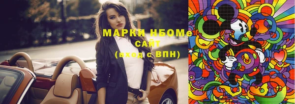 сатива Кулебаки