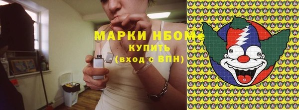 сатива Кулебаки